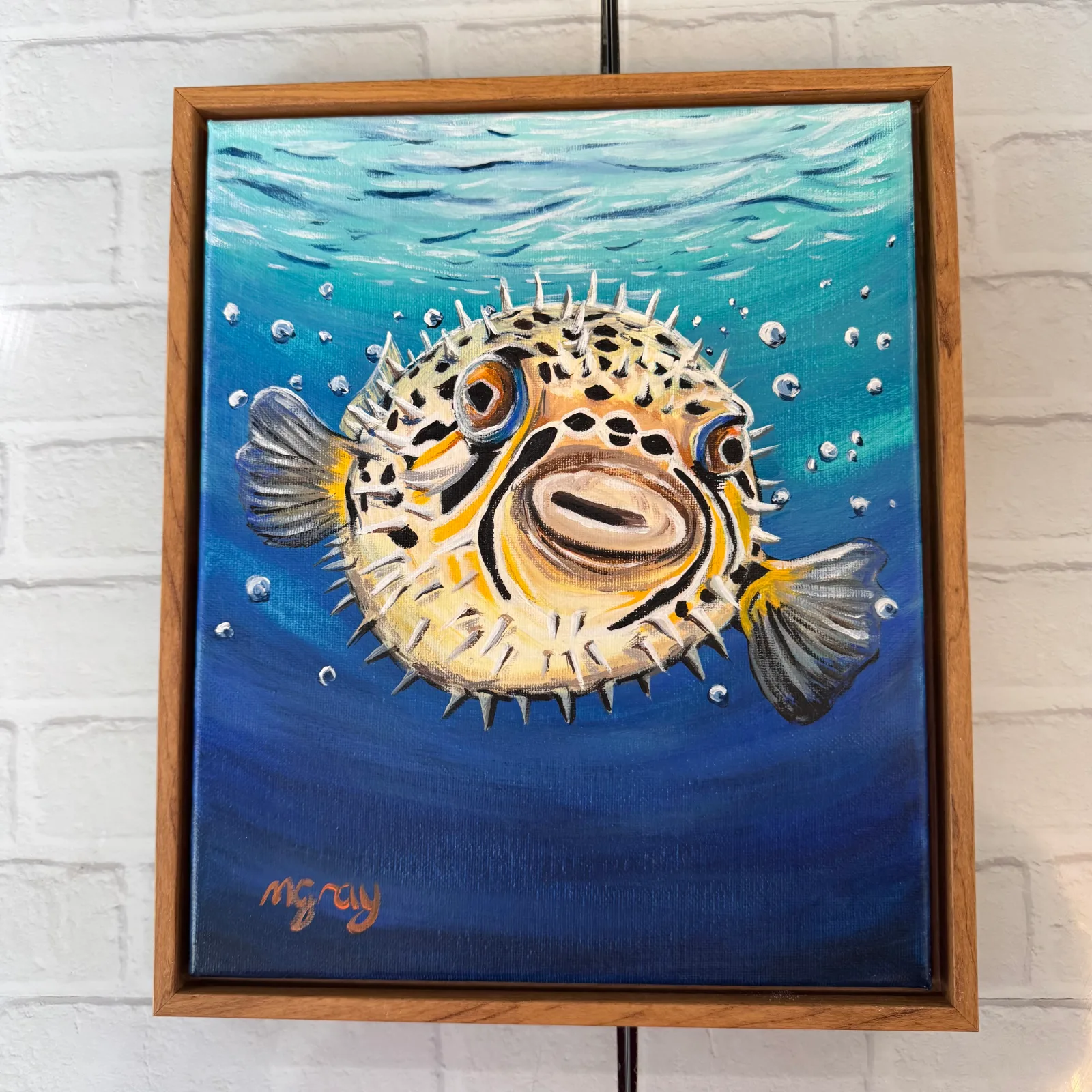 25 × 30 cm box canvas of a Puffer fish swimming in the sea, framed in a wood-colour floating resin frame.